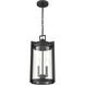 Ellway 2 Light 9.75 inch Textured Black Outdoor Hanging Lantern